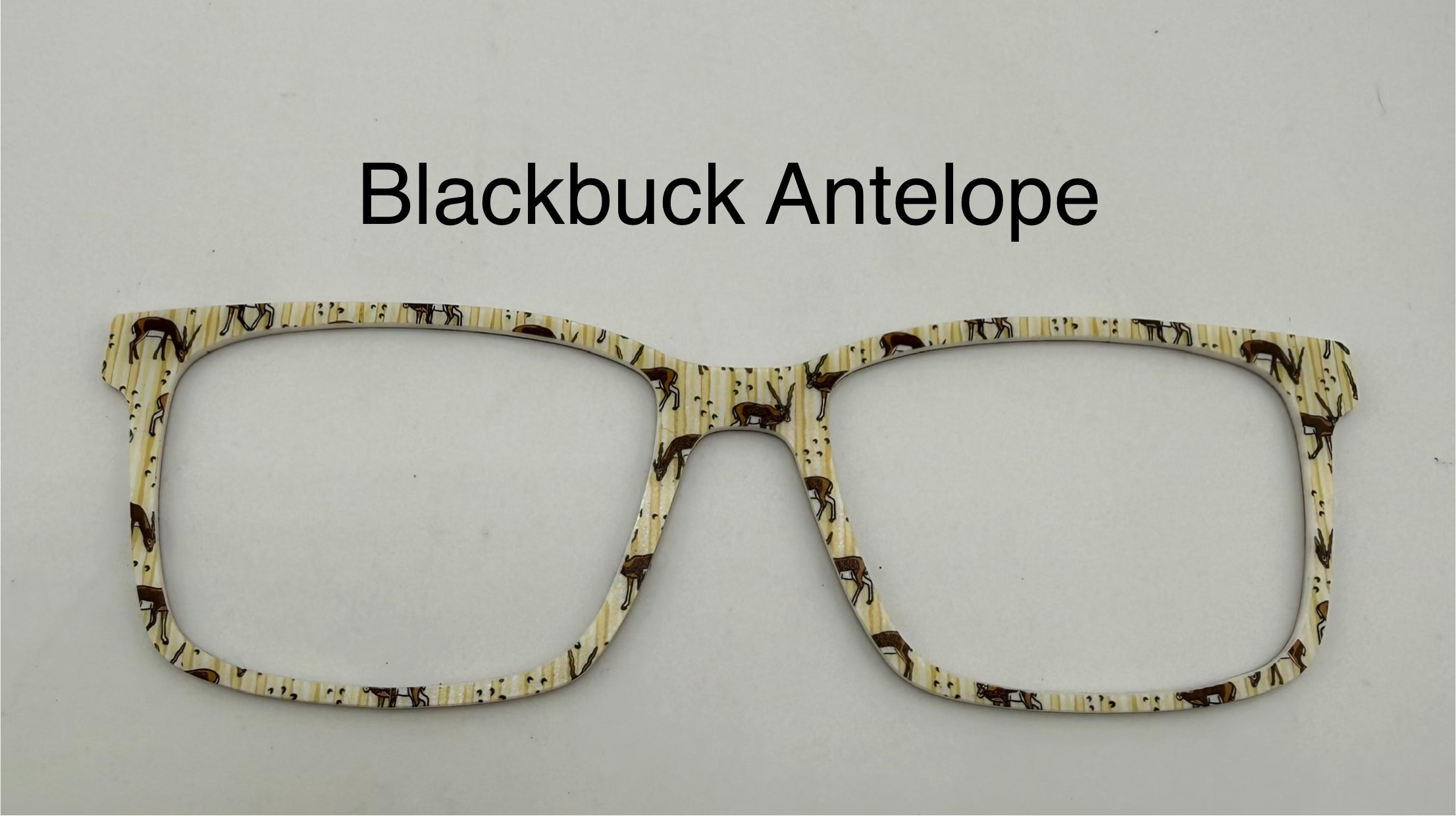 Blackbuck Antelope